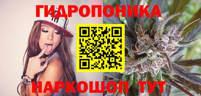 сатива Будённовск